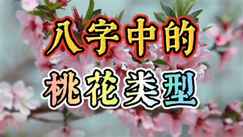 牆外桃花|八字如何区分“墙内桃花”和“墙外桃花